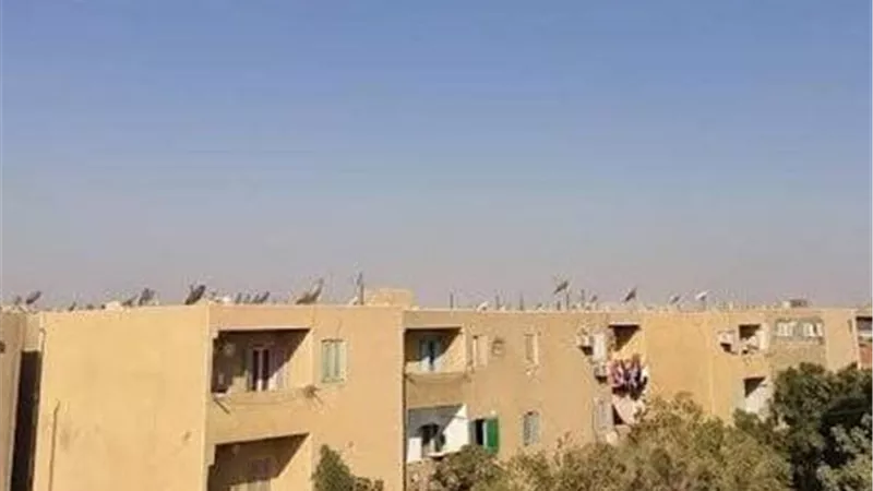 طقس شديد البرودة واستقرار في حركة الرياح بالوادي الجديد