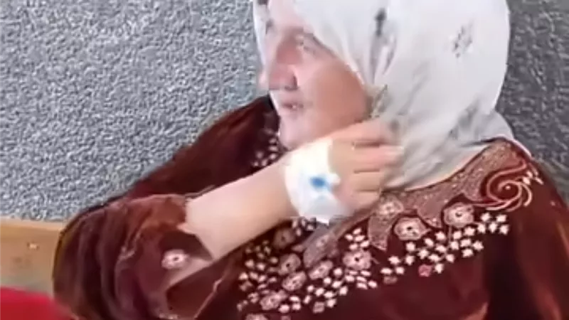 مشردة حامل ومريضة.. رحلة «هدير» من الطلاق إلى الرصيف بالمنوفية