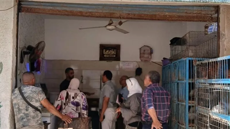 حملات رقابية تستهدف منشأت طبية ومحال جزارة ودواجن وأسماك بمرسى مطروح