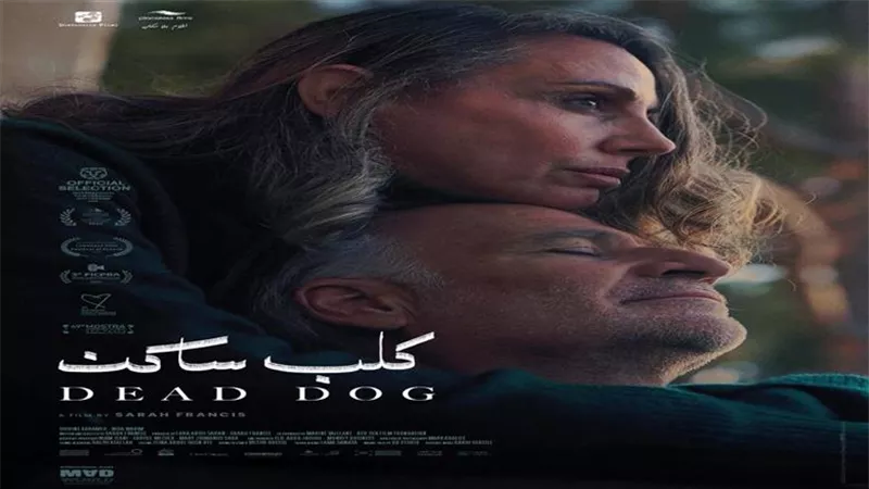 سارة فرانسيس: فيلم كلب ساكن يستكشف بقايا العلاقات الإنسانية في 4 أيام