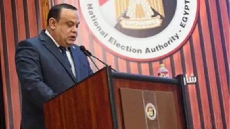 الهيئة الوطنية للانتخابات: إلغاء انتخابات الدائرة الثامنة بإيتاي البارود