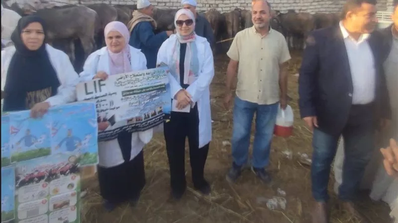 بيطري الشرقية: متابعة ميدانية بأسواق الماشية للتحصين ضد حمى القلاعية