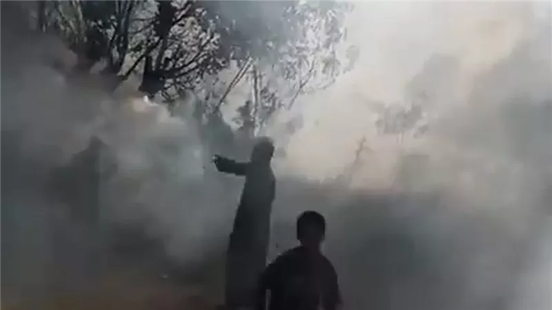 الحماية المدنية تحاول السيطرة على حريق ضخم نشب في الأشجار جنوب الأقصر 