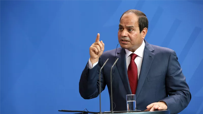 الرئيس السيسي: الدولة تبذل جهودا كبيرة لتوفير الدعم للمواطنين| فيديو