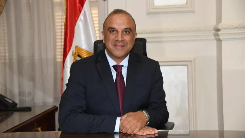 وليد المليجي: قرار إلغاء انتخابات إمبابة والمنيرة صائب ونحترمه