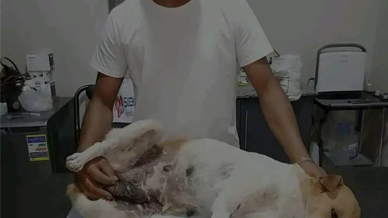 جريمة غدر في الزقازيق.. كيف تحوّلت طيبة المتطوع محمد جمال إلى مأساة؟