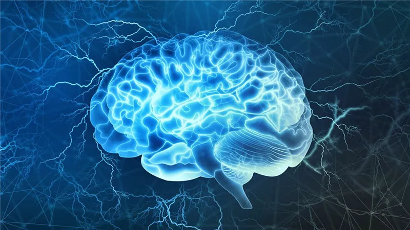 عبر الساعة الرملية.. دراسة تكشف طريقة ضبط الحركات داخل الدماغ