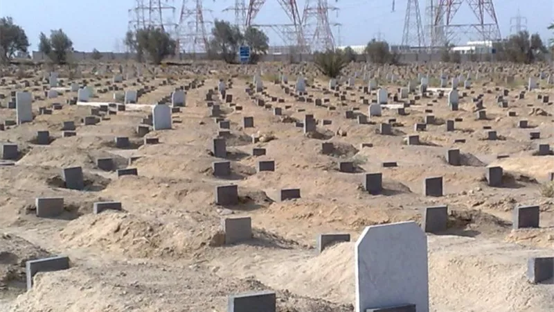 حكم من ينكر عذاب القبر ونعيمه.. عطية لاشين يجيب  