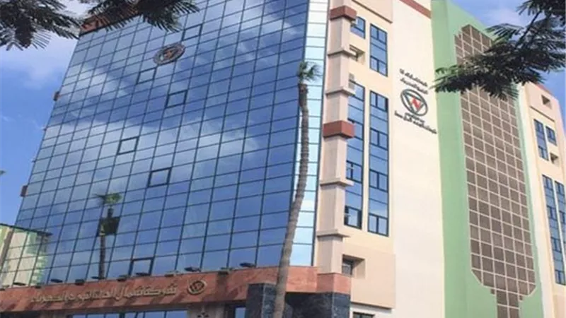 شمال الدلتا لتوزيع الكهرباء تعتمد ميزانية 2024/2025 