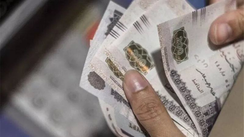 مرتبات نوفمبر 2025: بدء الصرف للعاملين في الحكومة والقطاع الخاص