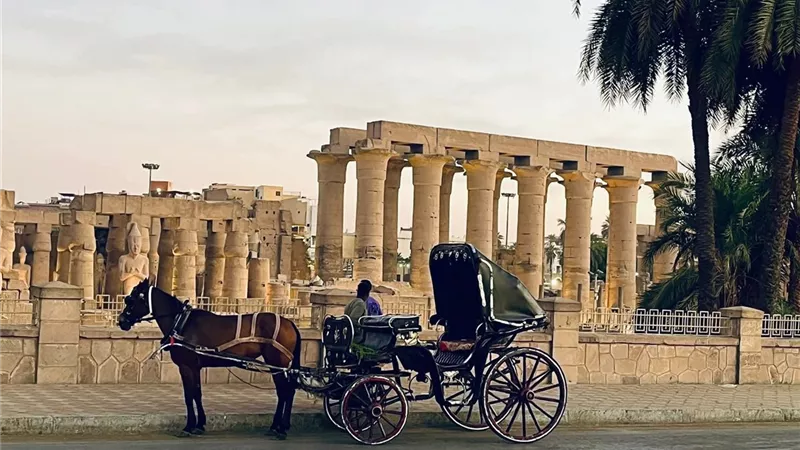 طقس الأقصر.. مائل للبرودة صباحاً ومائل للحرارة نهاراً