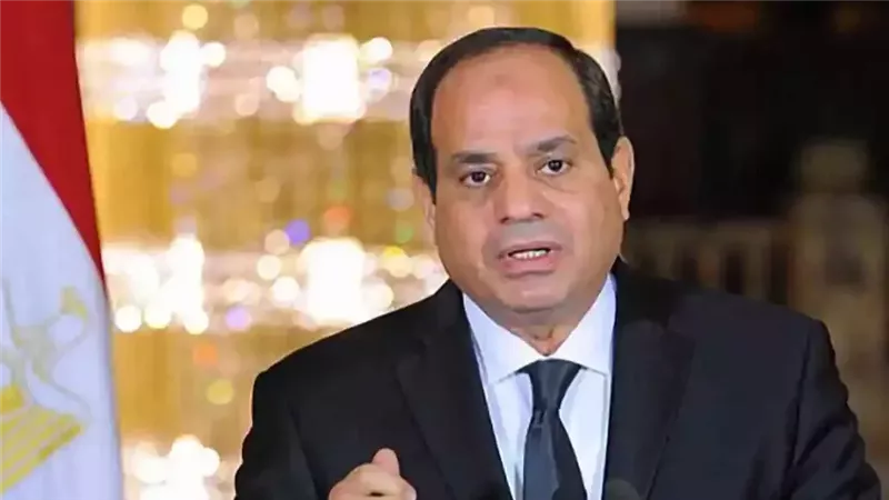 الرئيس السيسي: يجب قيام كل المسؤولين بدورهم لضمان ضبط الشارع المصري