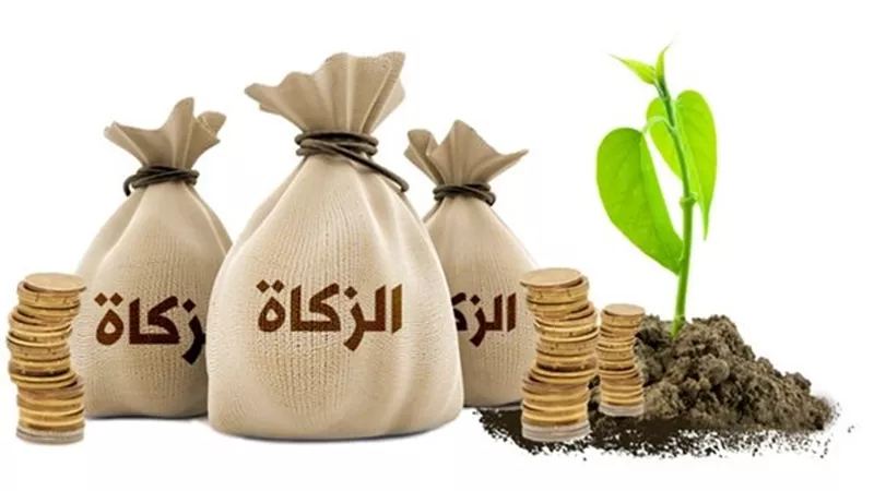 هل تُزكّى الفوائد الشهرية من أموال المعاش؟.. أمين الفتوى يجيب