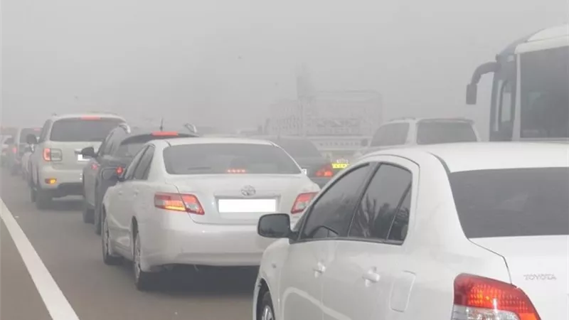بسبب الشبورة المائية.. غلق مؤقت لكارتة الطريق الإقليمي بالمنوفية 