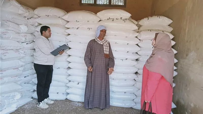 حملات مكثفة للنظافة ومكافحة التعديات في الواسطى ببني سويف