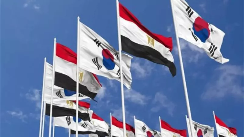 أستاذ اقتصاد: الاستثمارات بين مصر وكوريا الجنوبية تعزز الشراكة