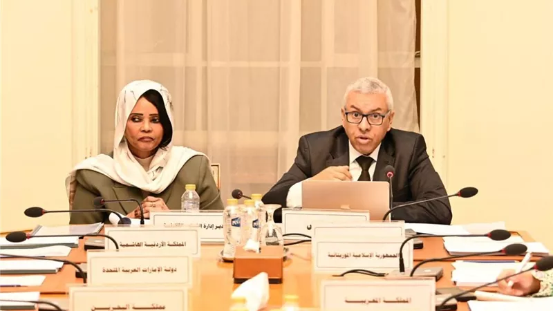 اجتماع عربي بالقاهرة يناقش مستقبل حقوق المؤلف في عصر الذكاء الاصطناعي