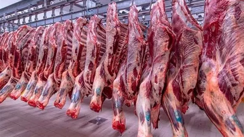 معلومات الوزراء: إنتاج قياسي للحبوب واللحوم وفوائض بالسكر فى 2025