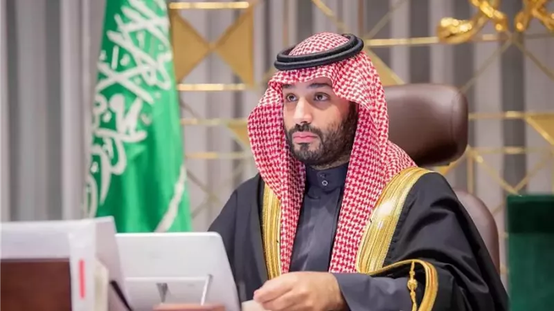 ولي العهد السعودي يستجيب لطلب طفلة سودانية فقدت عائلتها بحادثة| فيديو 