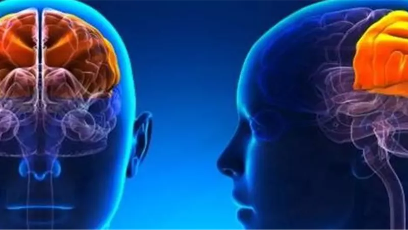 إنجاز غير مسبوق.. نجاح أول عملية لغلق شرايين الأم الجافية بالقسطرة المخية