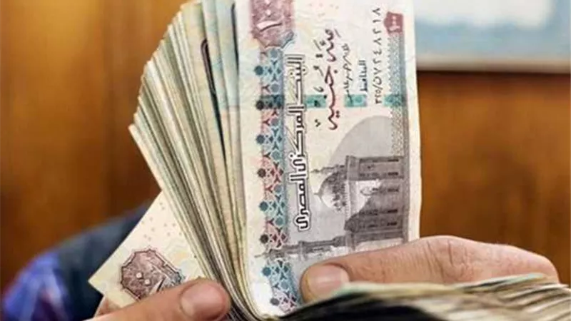 مرتبات نوفمبر على الأبواب.. «المالية» تكشف مفاجآت الرواتب للدرجات المختلفة