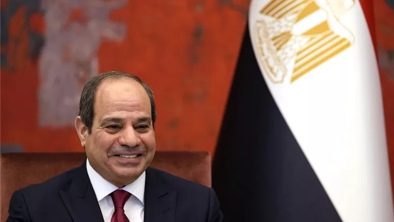 الضبعة النووية بالصدارة.. السيسي يوجه رسائل قوية عن الطاقة 