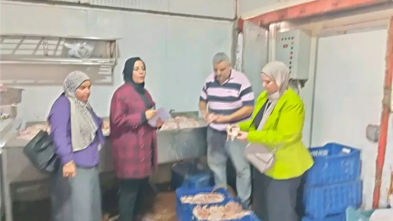 ضبط 10 أطنان لحوم فاسدة ومنتهية الصلاحية في حملات تموينية بالدقهلية