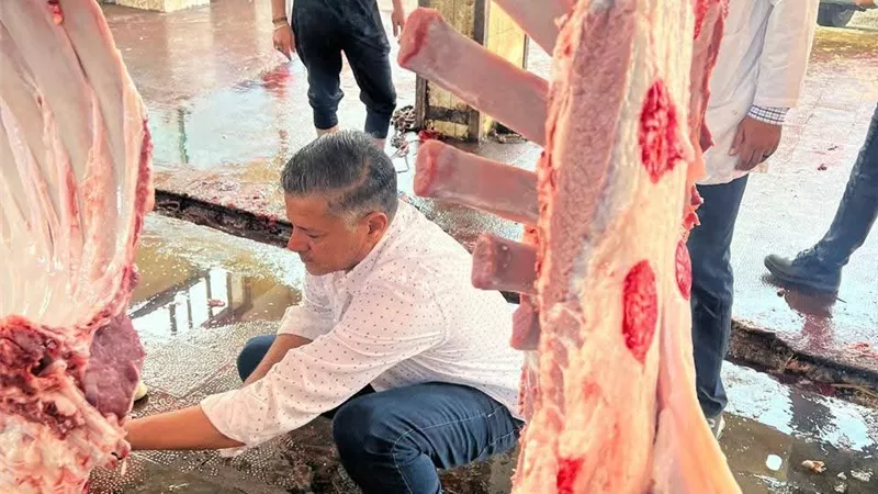 بيطري كفرالشيخ: تحصين 236774 رأس حيوان نهاية الأسبوع الرابع من الحملة