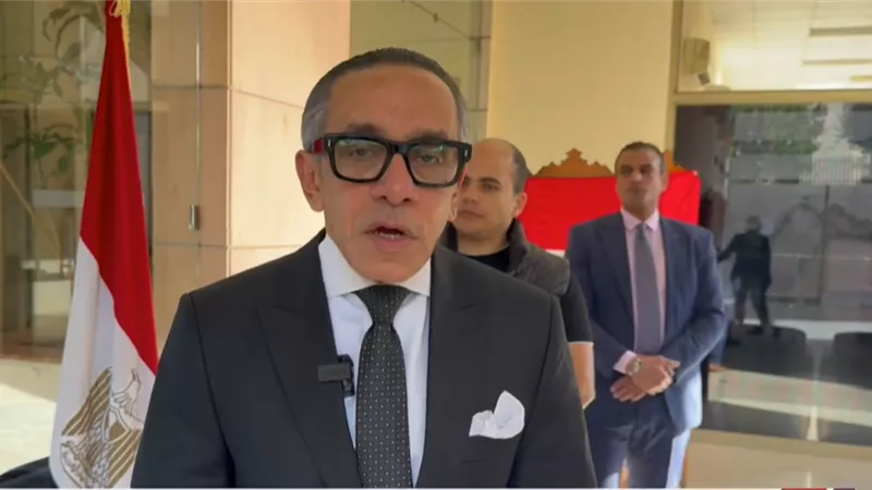 علاء موسى: إجازة للقسم القنصلى بلبنان لتسهيل حركة الناخبين