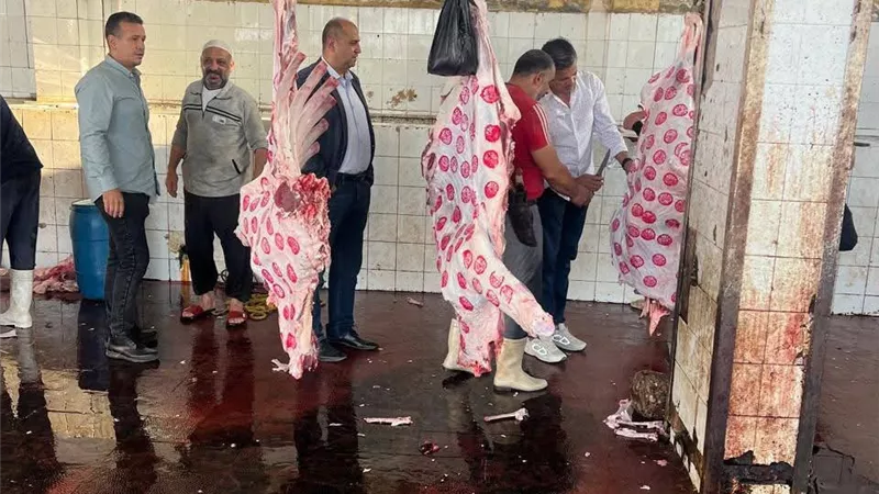 «بيطري كفر الشيخ» يتابع جهود حملة تحصين المواشي بأسواق المحافظة|صور