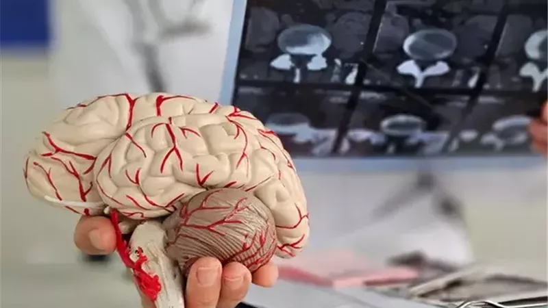 3 تمارين رياضية لنمو خلايا دماغية جديدة