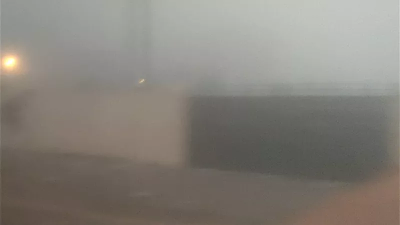 حالة الطقس في البحيرة.. استمرار الشبورة الكثيفة وجو معتدل طوال اليوم