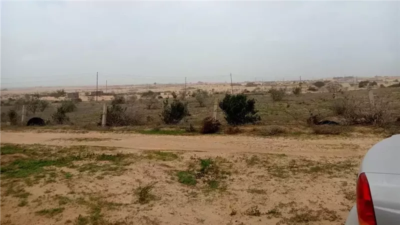 طقس اليوم في شمال سيناء.. نشاط للرياح وانخفاض درجات الحرارة