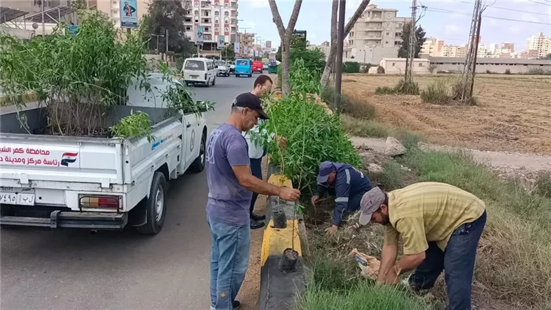 زراعة 90 شجرة جديدة ضمن مبادرة 100 مليون شجرة بالغربية