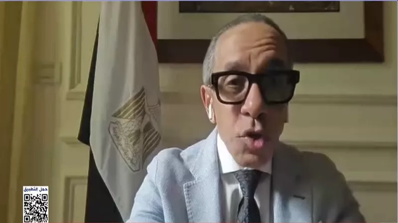 سفير مصر بلبنان: استقبال الناخبين بمراكز الاقتراع دون مشكلات|فيديو
