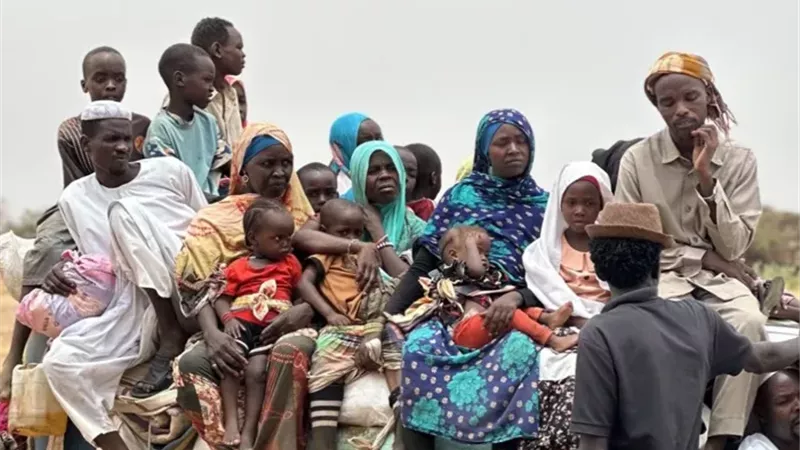 مقررة أممية تحذر من كارثة بسبب استغلال الأطفال والنساء في السودان|فيديو 