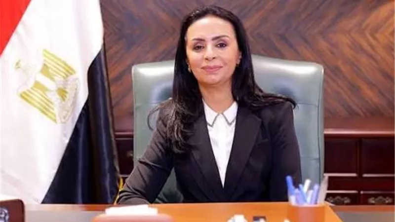 السيرة الذاتية الاحترافية.. التضامن تنظم تدريبا لـ 50 شخصًا من ذوي الإعاقة