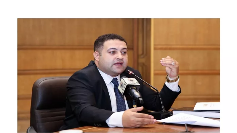  القرماني: 251 طعنًا أمام الإدارية العليا لتحديد موازين الخريطة البرلمانية