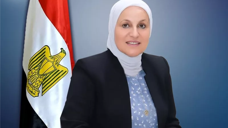 بسبب انتخابات«النواب» .. تعطيل الدراسة غدا بـ 324 مدرسة في القاهرة