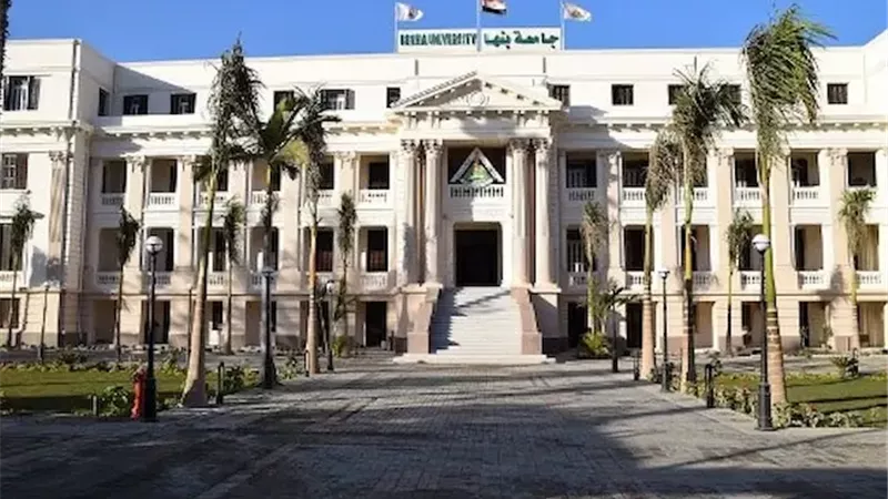جامعة بنها تطلق مسابقة «فنون ضد العنف» للطلاب والمجتمع المدني