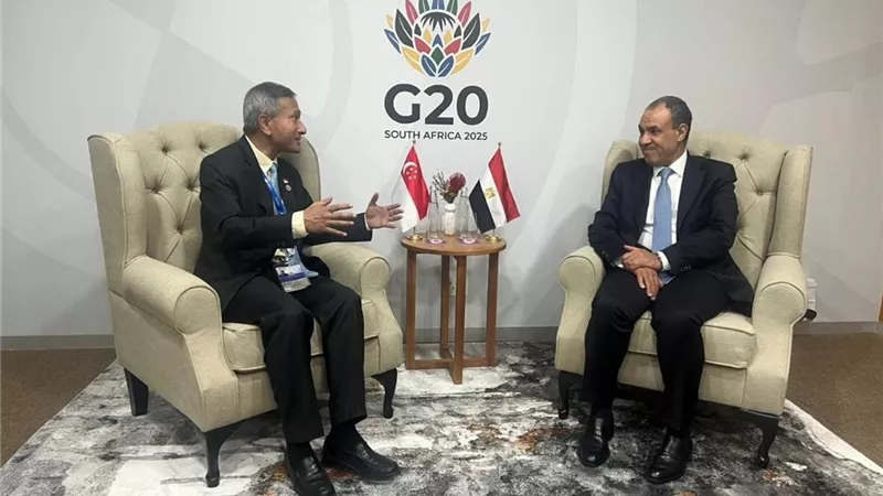 وزيرا خارجية مصر وسنغافورة يبحثان آفاق التعاون الثنائي