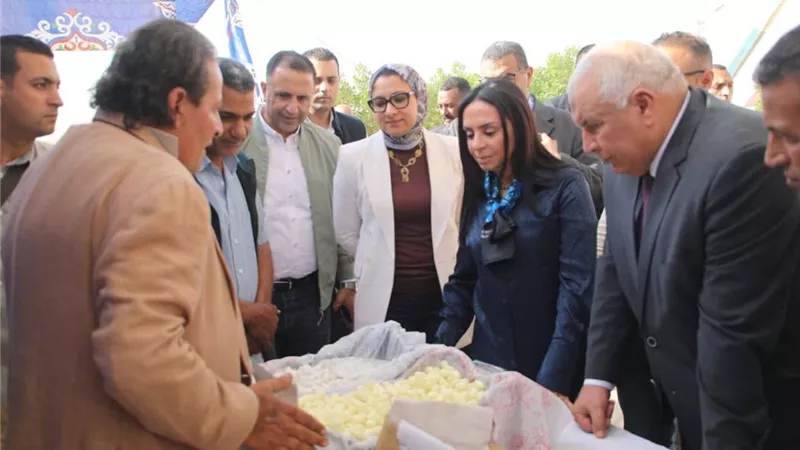 وزيرة التضامن ومحافظ الوادي الجديد يفتتحان مشروع وقف نخيل خيري 
