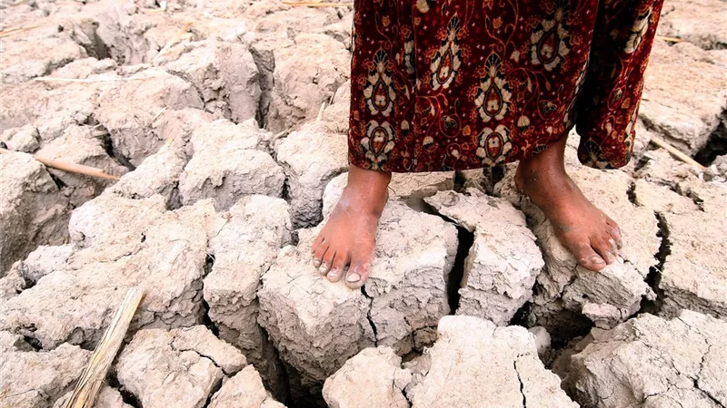 تمكين 158 مليون امرأة من مخاطر المناخ عبر التأمين المالي النوعي