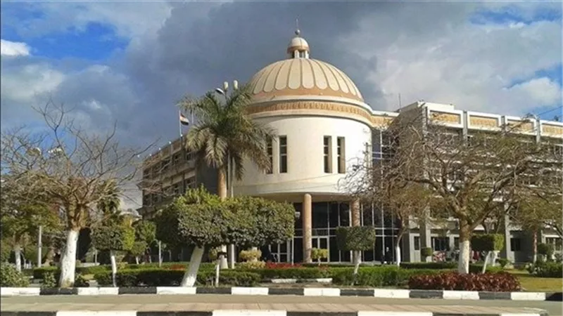 جامعة الفيوم: معرض «طبيعة صامتة بالألوان والأخشاب» بكلية التربية