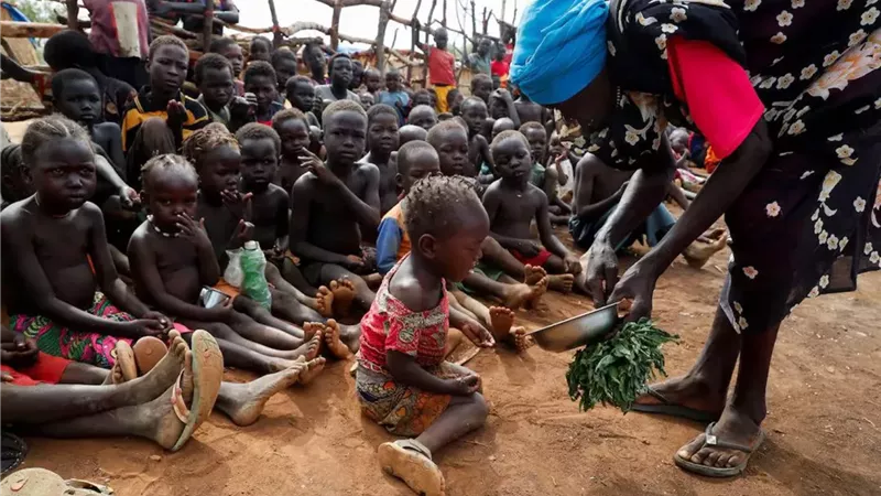 23 طفلًا نازحًا يموتون جوعًا خلال شهر واحد في كردفان السودان