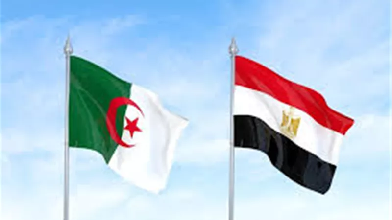 رغم العلاقات المتقدمة.. حجم التجارة بين مصر والجزائر غير مناسب