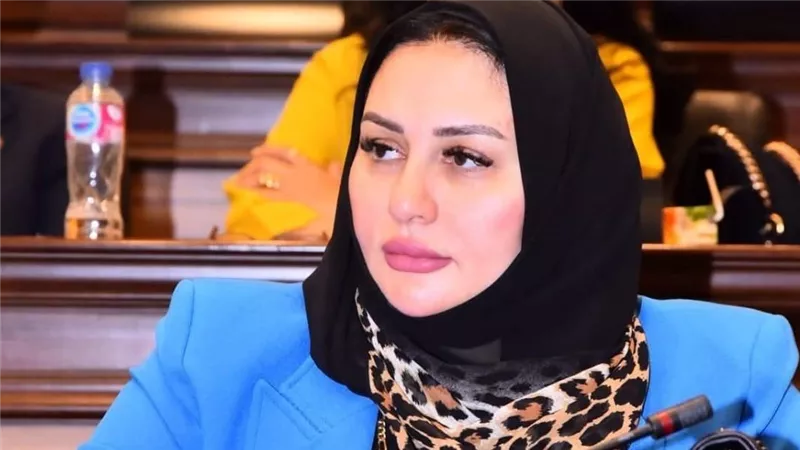 عضو مجلس الشيوخ: المشاركة في الانتخابات أضمن وسيلة لتعزيز الديمقراطية