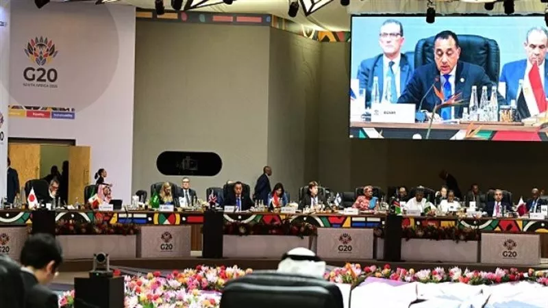 حسن هريدي: مصر تدافع في قمة العشرين عن الحقوق الأفريقية في التنمية
