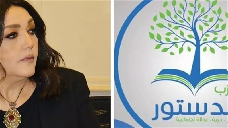 جميلة إسماعيل: مراقبة المجتمع المدني للانتخابات ليست رفاهية