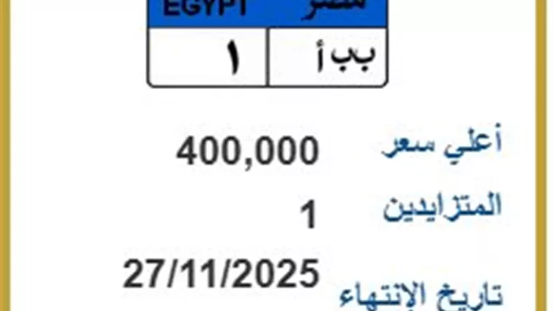 [ب ب أ 1] تبدأ بـ 400 ألف جنيه.. المرور تطرح لوحات معدنية مميزة